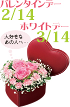 2/14バレンタインデー 3/14ホワイトデー 大好きなあの人へ…
