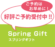 Spring Gift(スプリングギフト)好評ご予約受付中!!ご予約はお早めに!